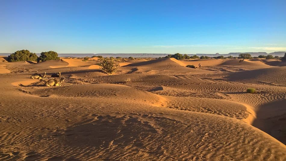 WP_20180411_08_50_51_Pro_export_w950