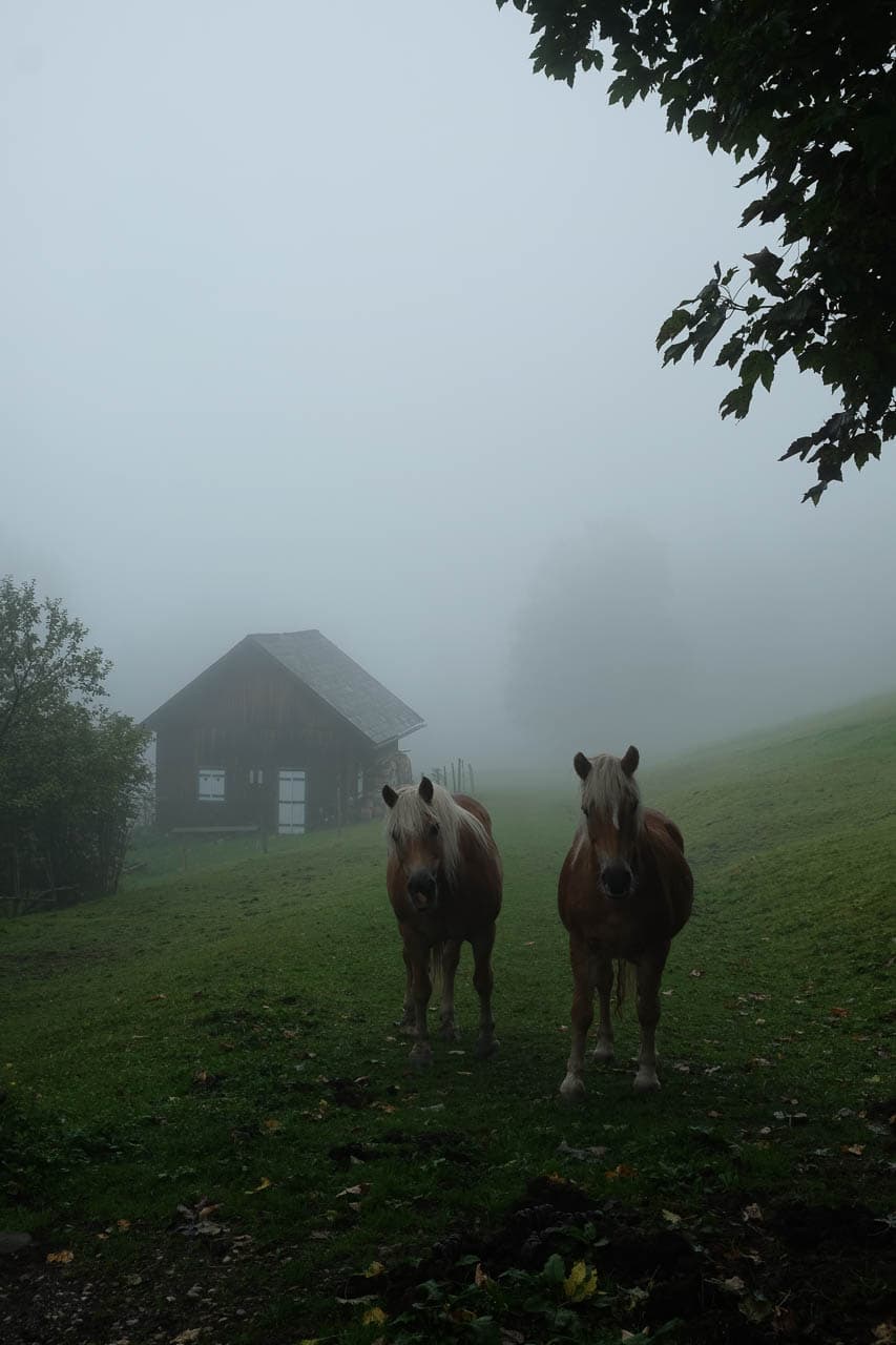 Selectie DSCF6141 Maarten Caversoons