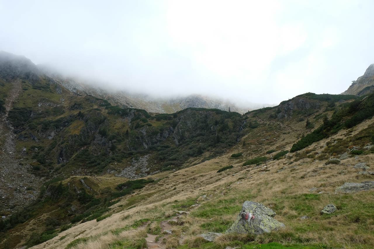 Selectie DSCF6108 Maarten Caversoons