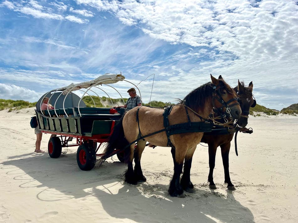 Image00005 NL5TSA Eveline Claes W950