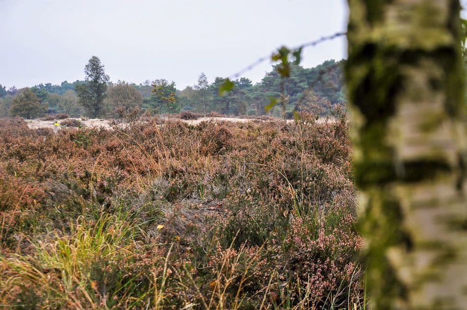 201910-hei_export_w950