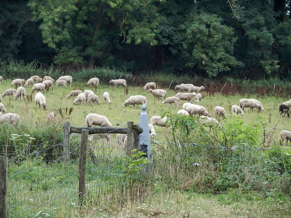 thumbnail_IMG_0648_export_w950