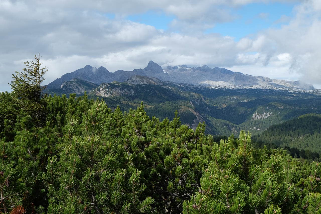 Selectie DSCF6210 Maarten Caversoons