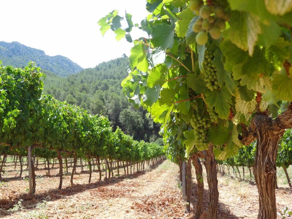 Aventura Catala Dag 4 (13) Export