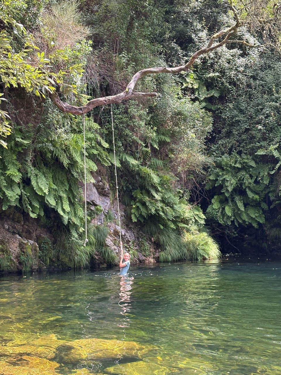 Selectie 3 Uus Knops