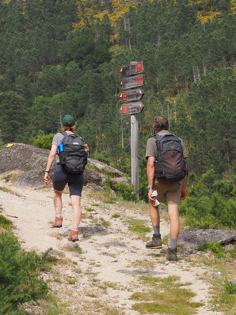 Selectie P5318040 Tom De Borger