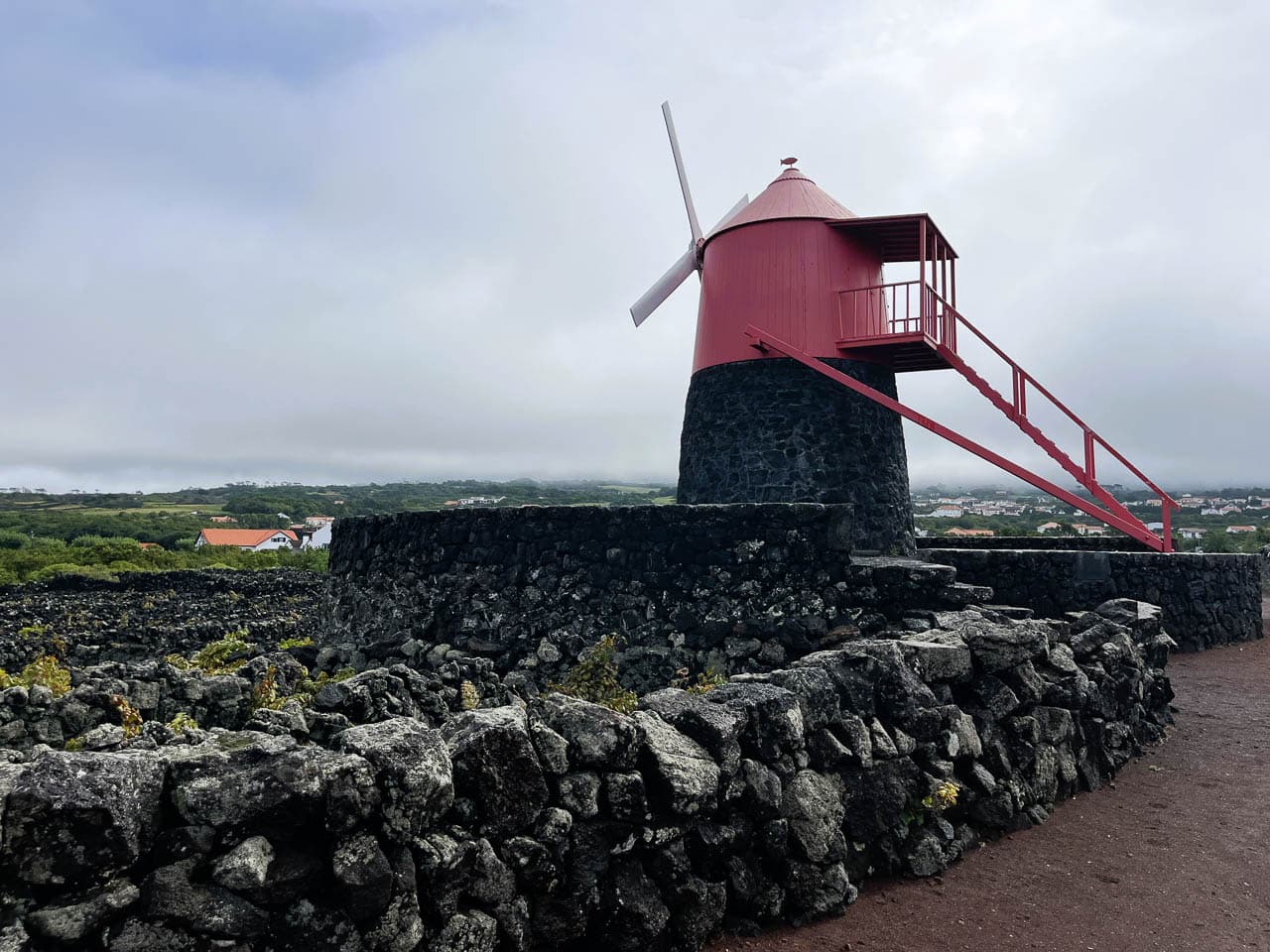 PT5AZA Image00064 Eveline Claes