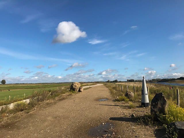 IMG_1670_export_w950