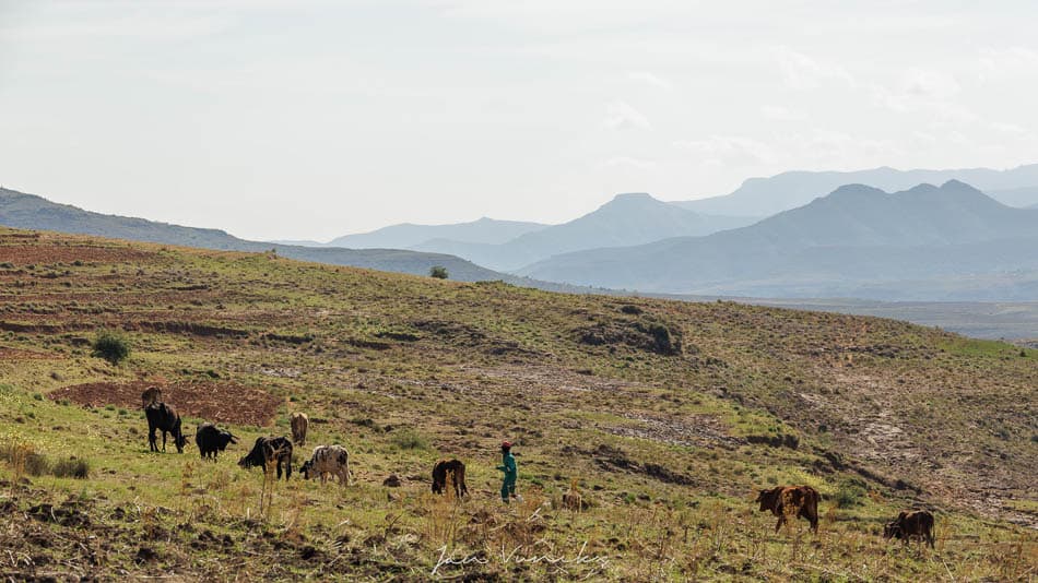 IMG 4666 Selectie Jan R8 W950