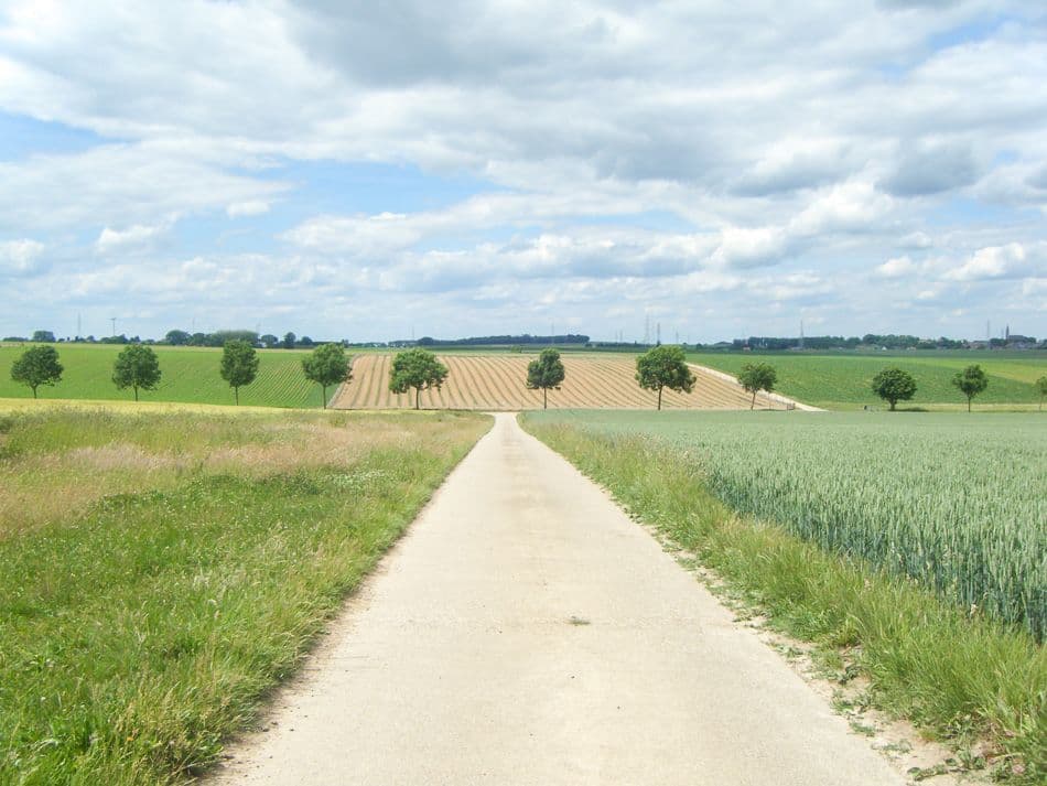 DSCF5844_export_w950