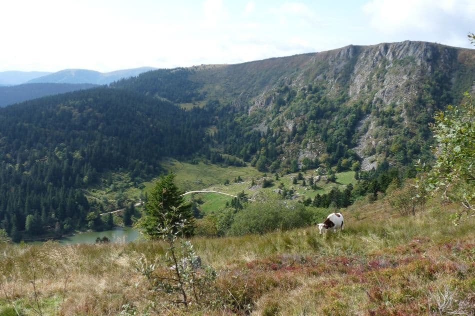 Vogezen-09-Karin-Warnant-P1010788