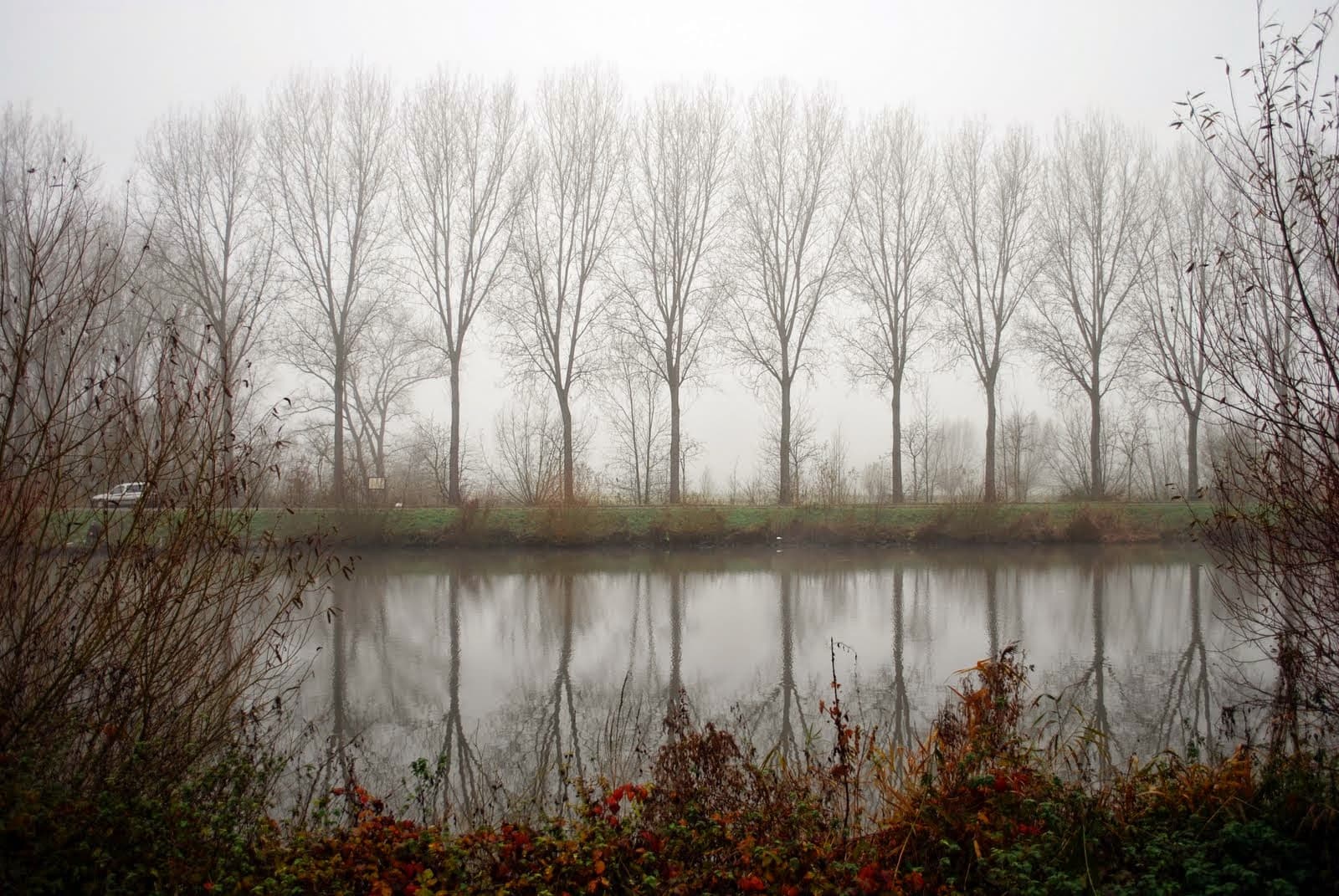 DSC_20_Veronique_De_Smedt