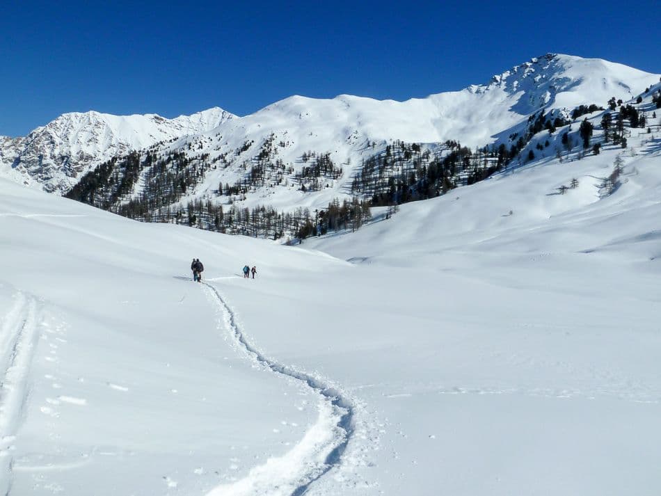 P1040101_export_w950