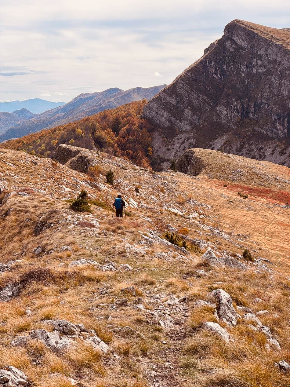 IMG 1914 Selectie Anne Cornut W950