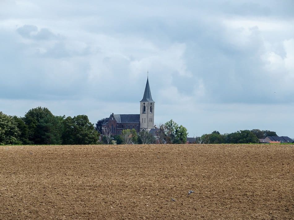 thumbnail_P9010264_export_w950