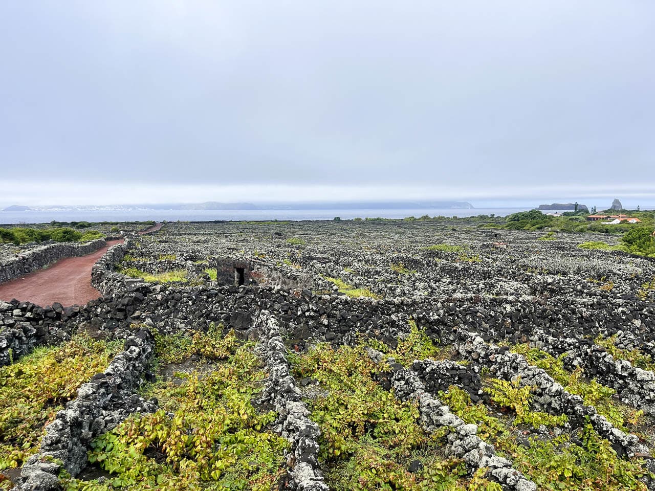 PT5AZA Image00065 Eveline Claes