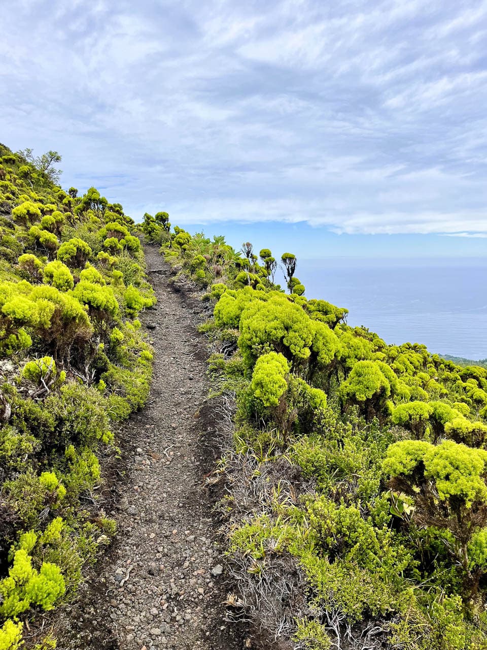 PT5AZA Image00051 Eveline Claes