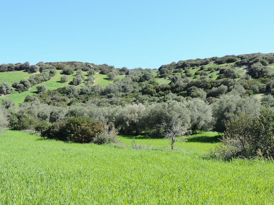 dag 7 - 2 - Giara 7_export_w950