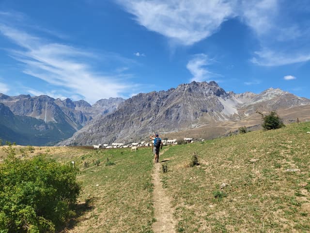 E52befbb F851 46Cf B0c1 D903c1eeddd2