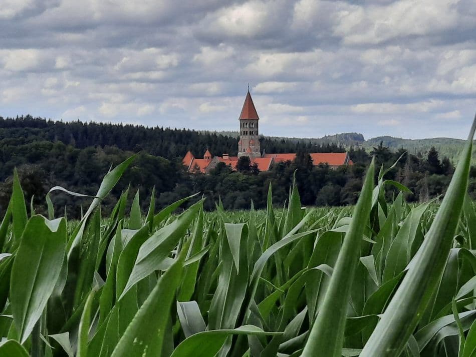 20200728_161419_export