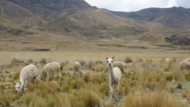 Picture-3-015-Custom