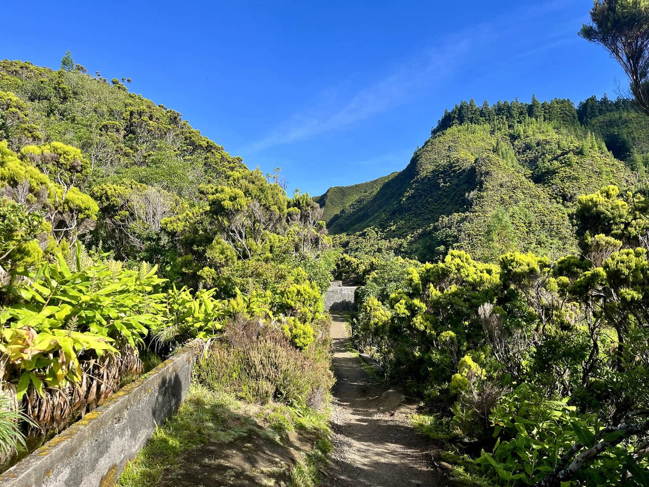 PT5AZA Image00019 Eveline Claes