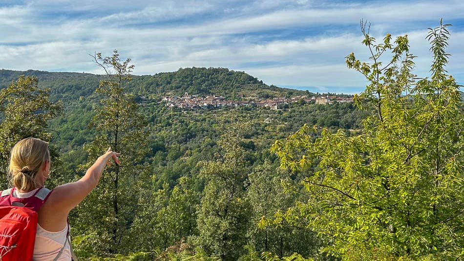 IMG E9964 ES5SSA Agent W950