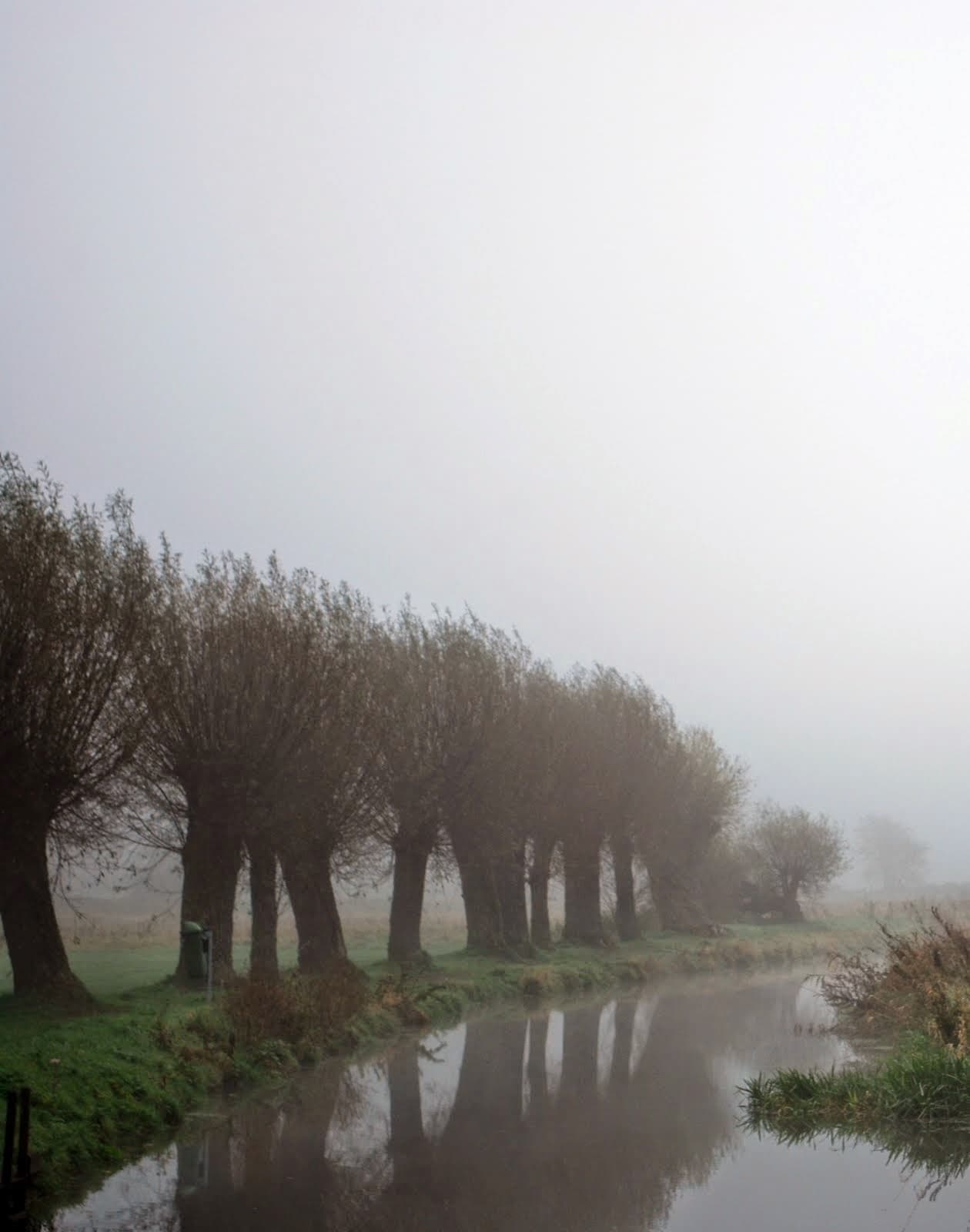 DSC_01_Veronique_De_Smedt