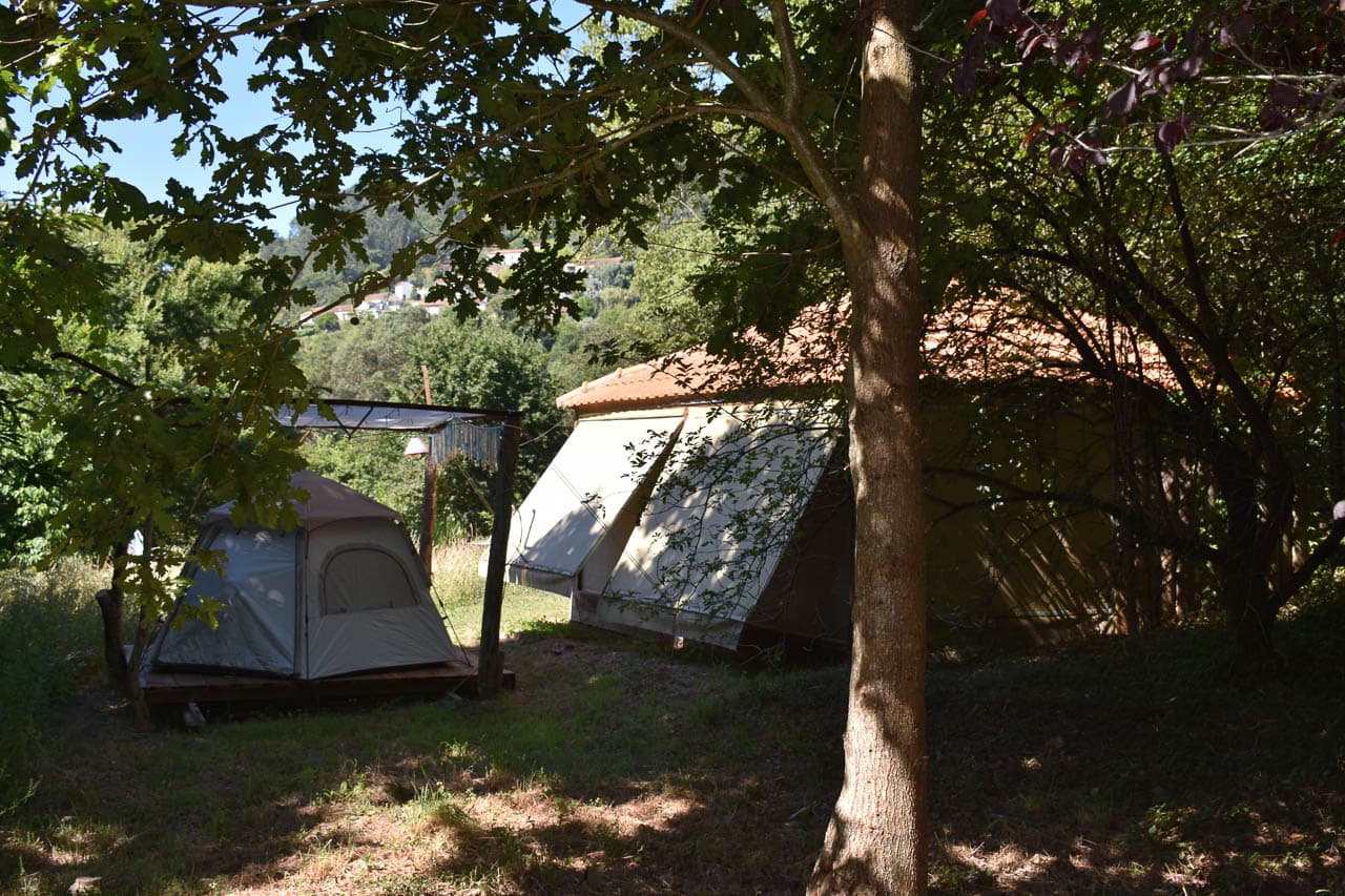 Pt5mha DSC 0586 Joëlle Coppin