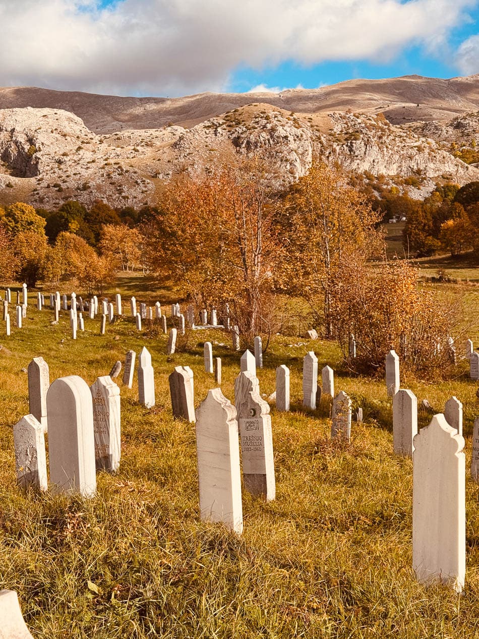 IMG 1735 Selectie Anne Cornut W950