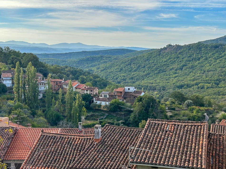 IMG 9972 ES5SSA Agent W950