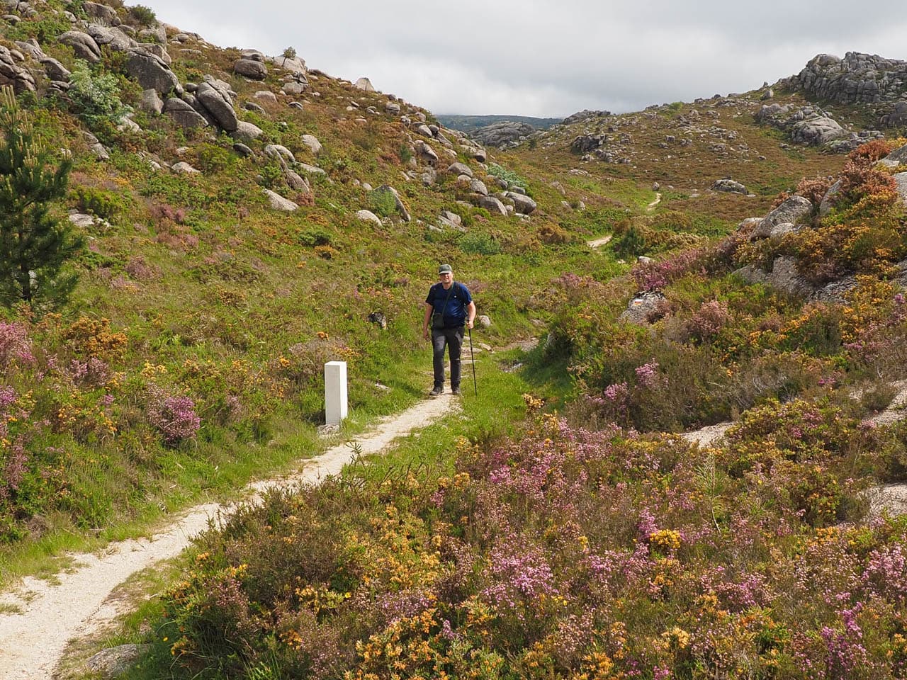 Selectie P6038124 Tom De Borger