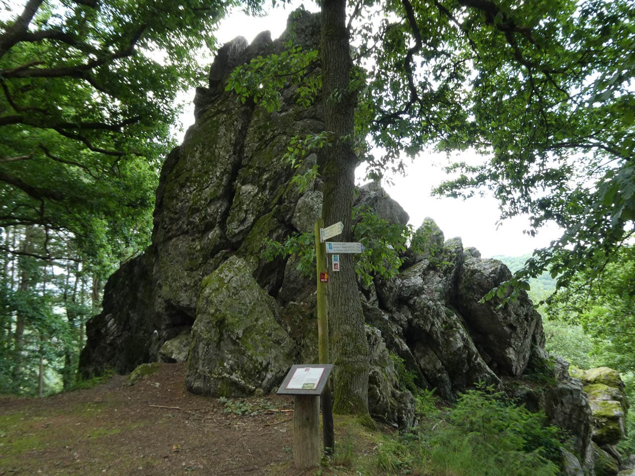 Selectie PANA0193 Dirk De Vos