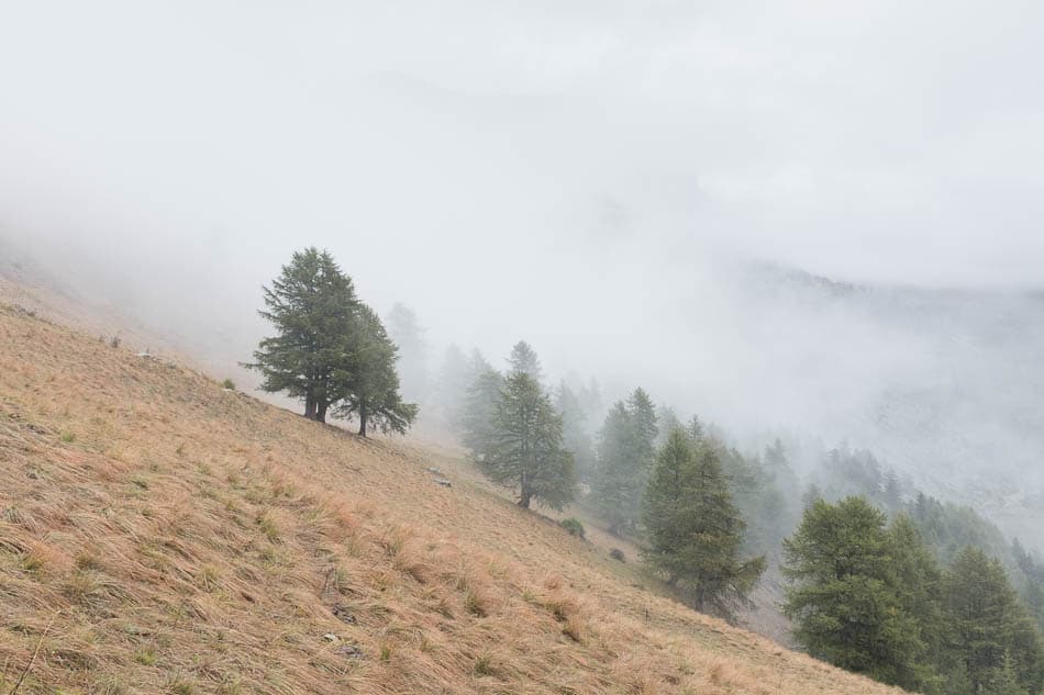 DSCF6068 IT1VMA Karin Warnant W950