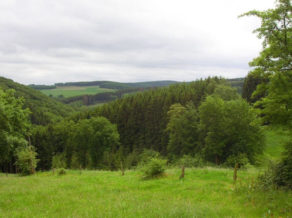 Champlon-07-BDW-11_export