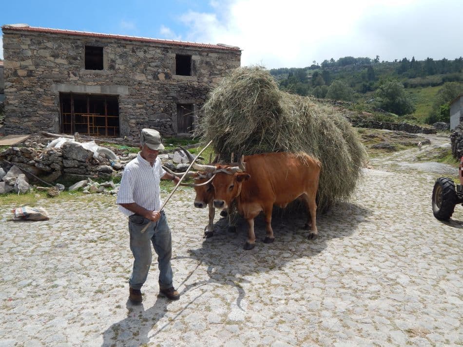 MA Minho DSCN8097_export