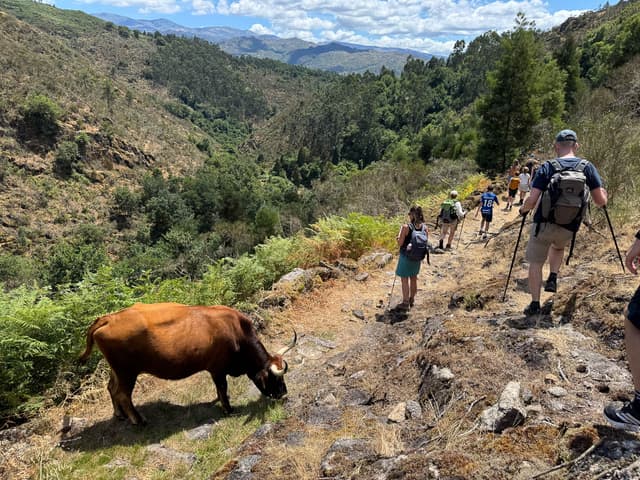 Selectie IMG 1256 Sofie Van Geldre