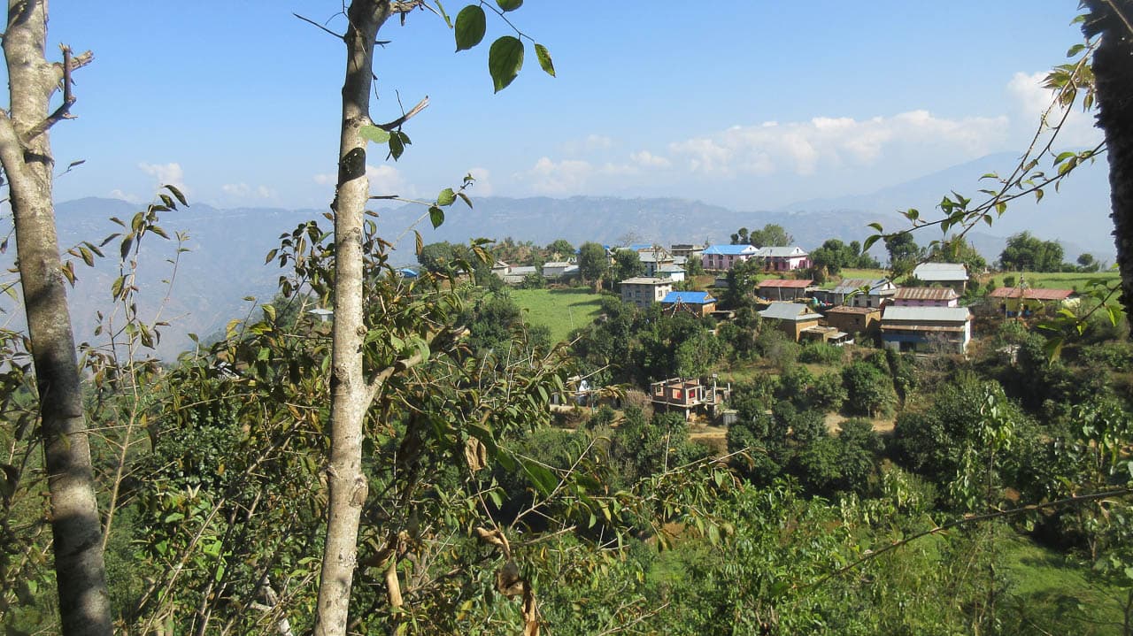 Selectie Temal 1 Betty Moureaux