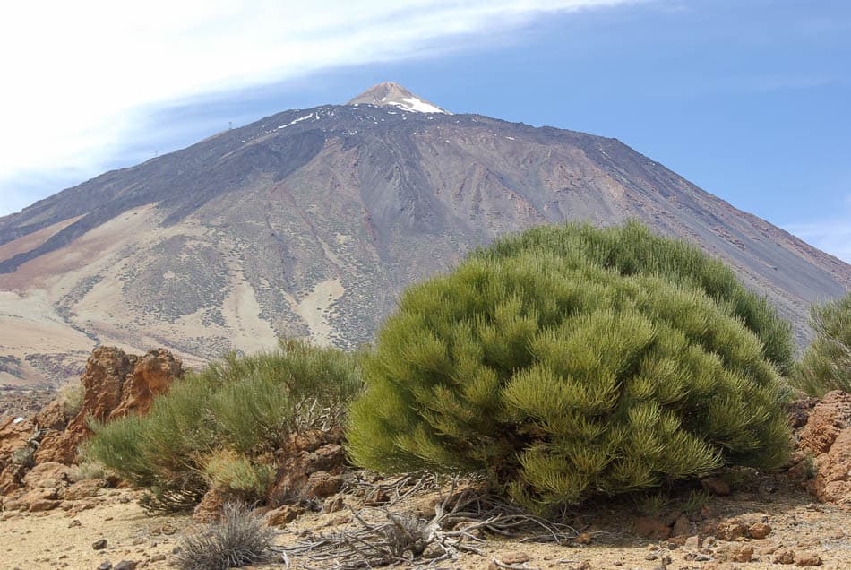 hr_16-jose-de-meyer-2010__w950