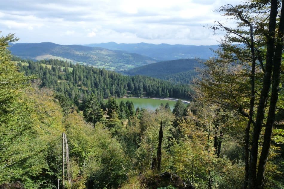 Vogezen-09-Karin-Warnant-P1010819