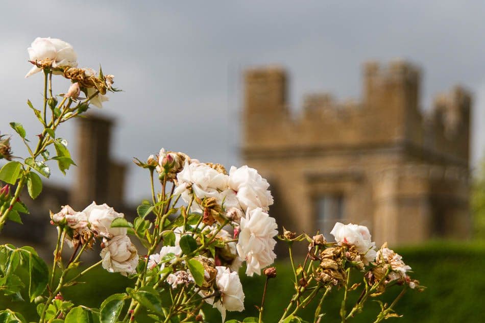 15GB088-16_Peter Cornelissen_w950