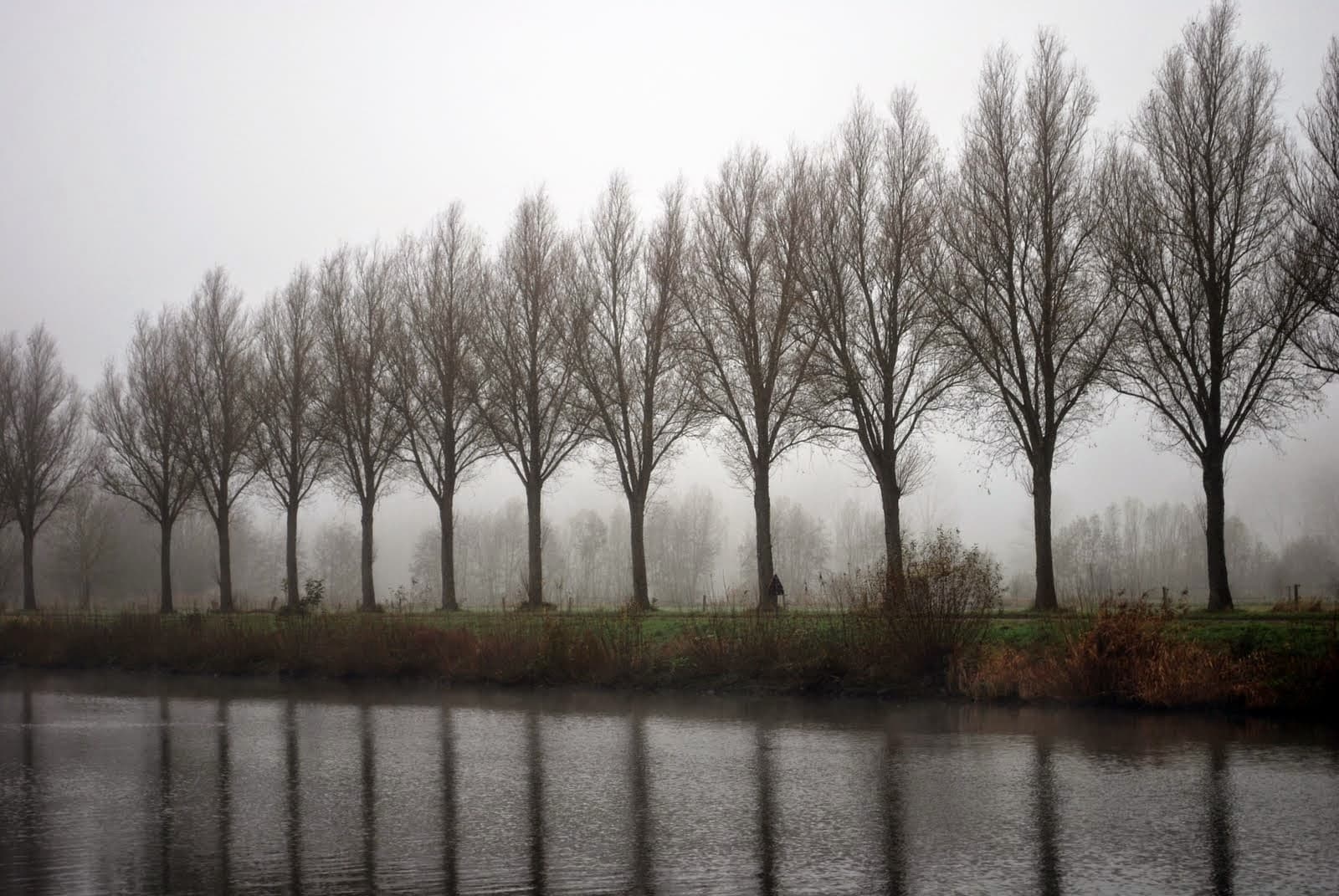 DSC_22_Veronique_De_Smedt