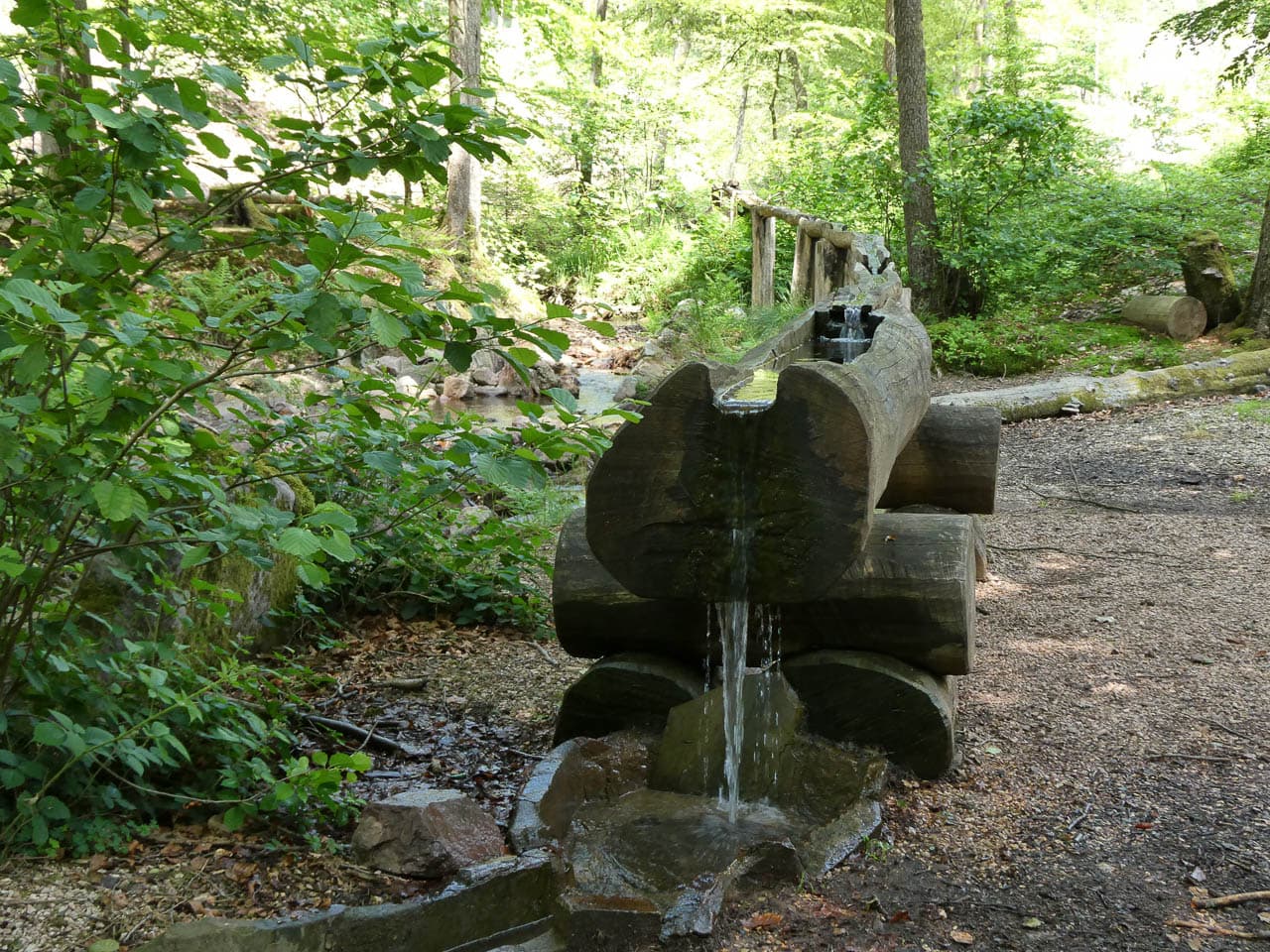 Selectie PANA0128 Dirk De Vos