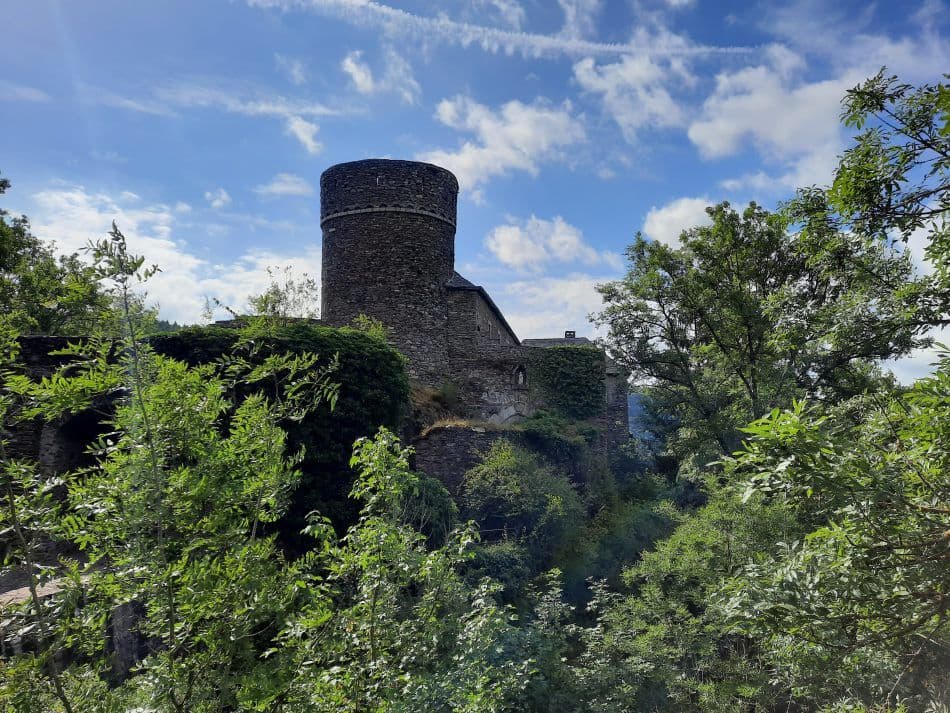 20200728_101039_export