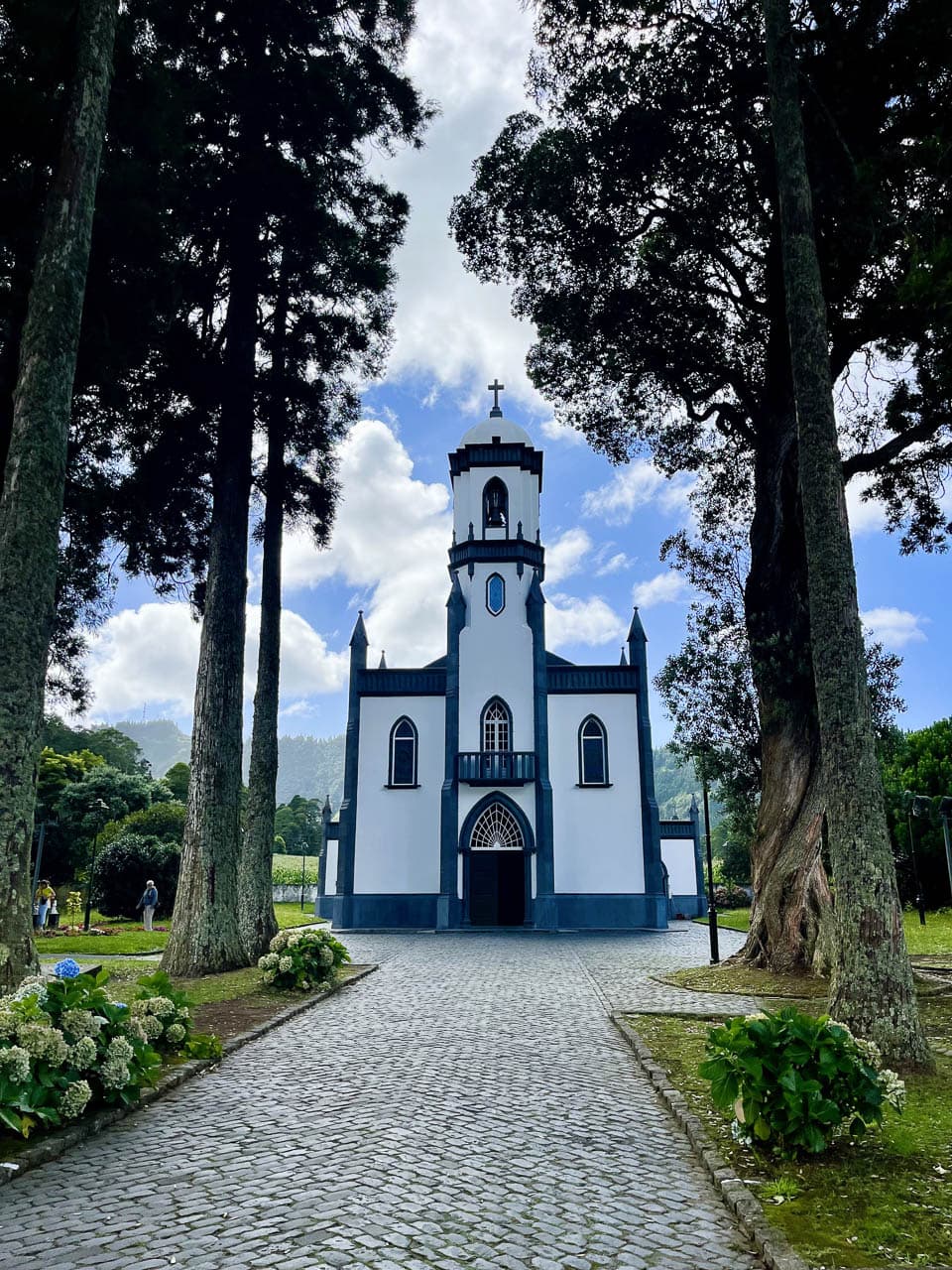 PT5AZA Image00011 Eveline Claes