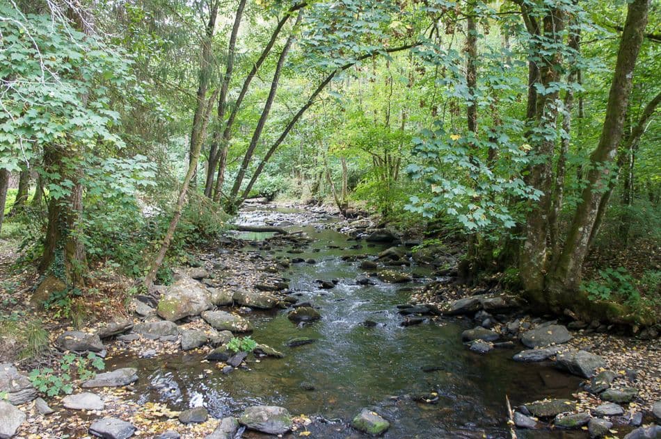 DSC02657_export_w950 (1)