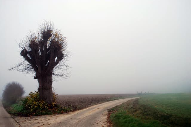 DSC_06_Veronique_De_Smedt