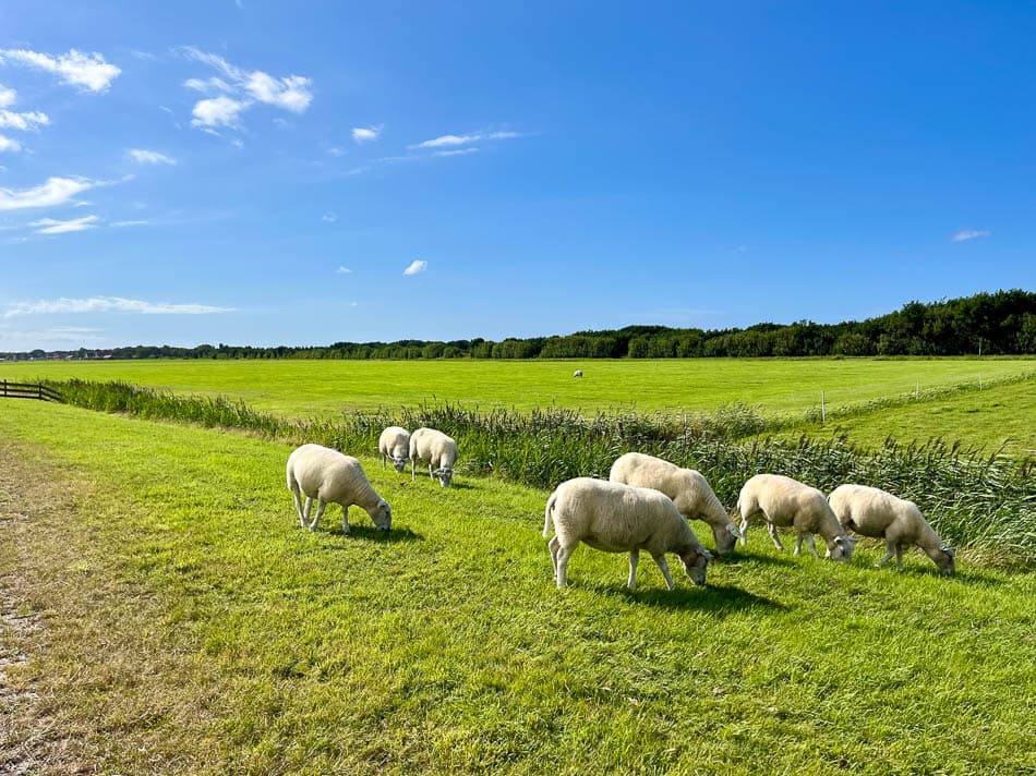 Image00009 NL5TSA Eveline Claes W950