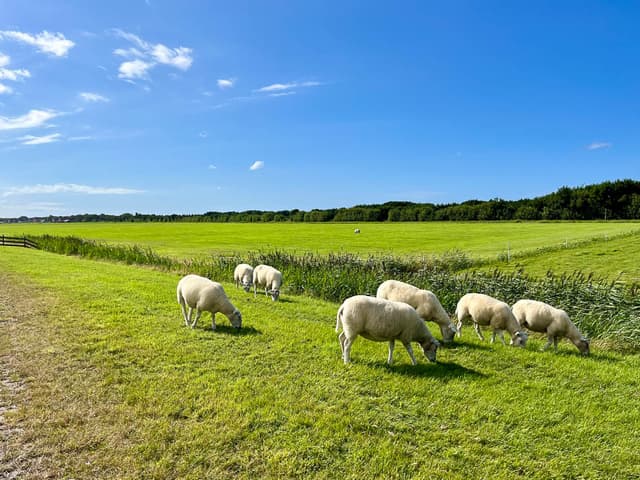 Image00009 NL5TSA Eveline Claes W950