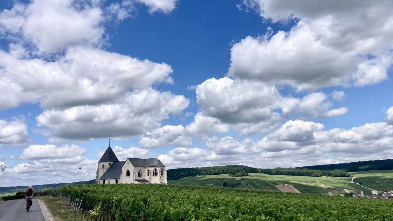 FR5CHA IMG 6507 Ann Tilley